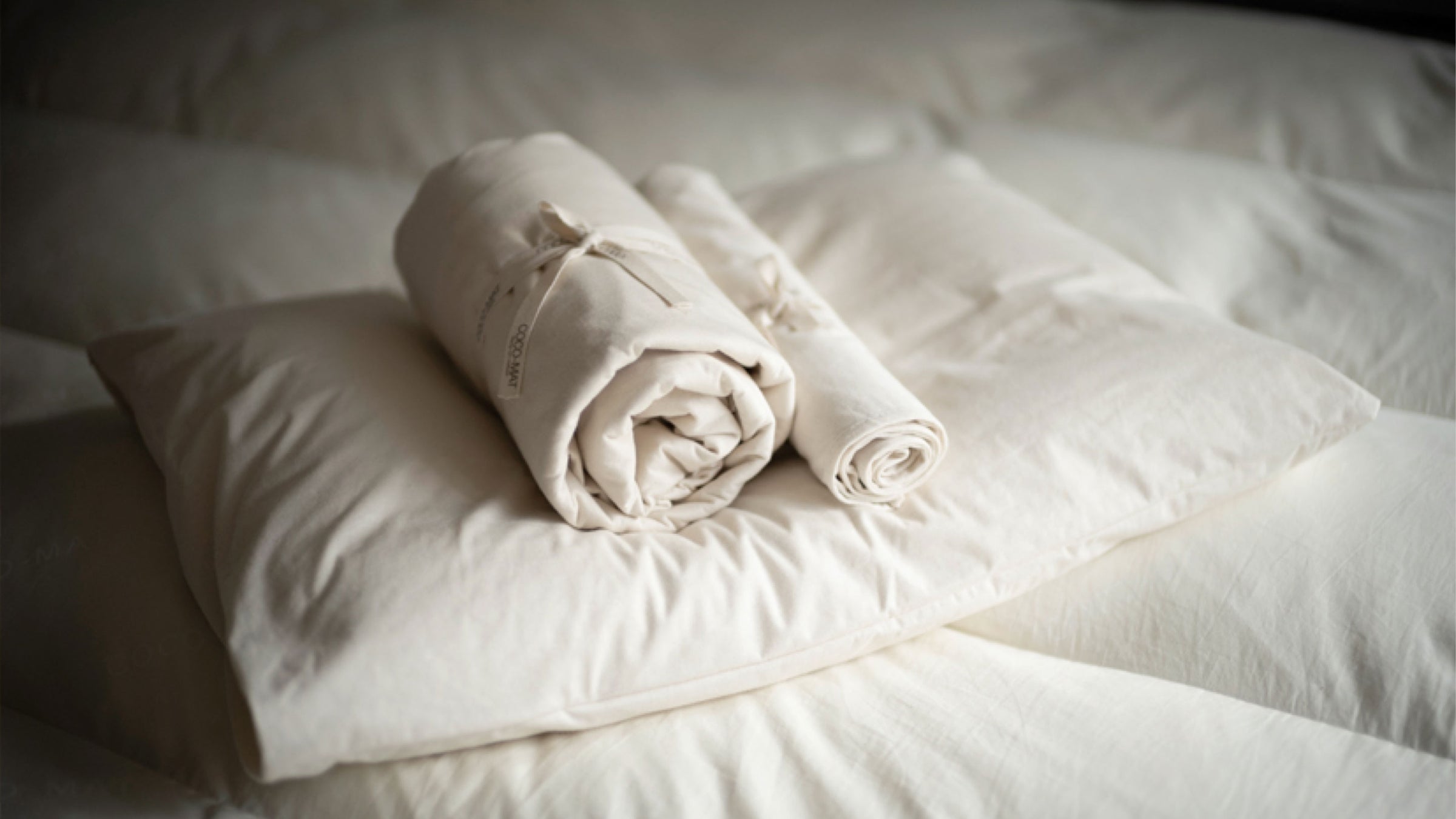 Alèses et protections