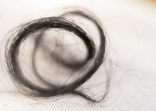 Natural Materials - Horse Hair