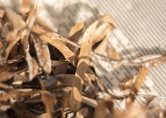 Natural Materials - Seaweed