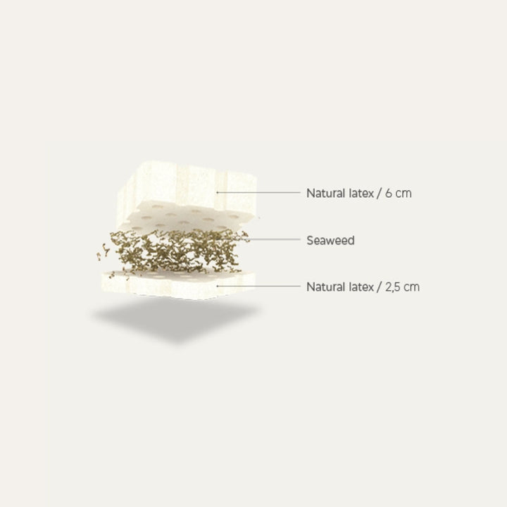 Thalassa_Natural Layers