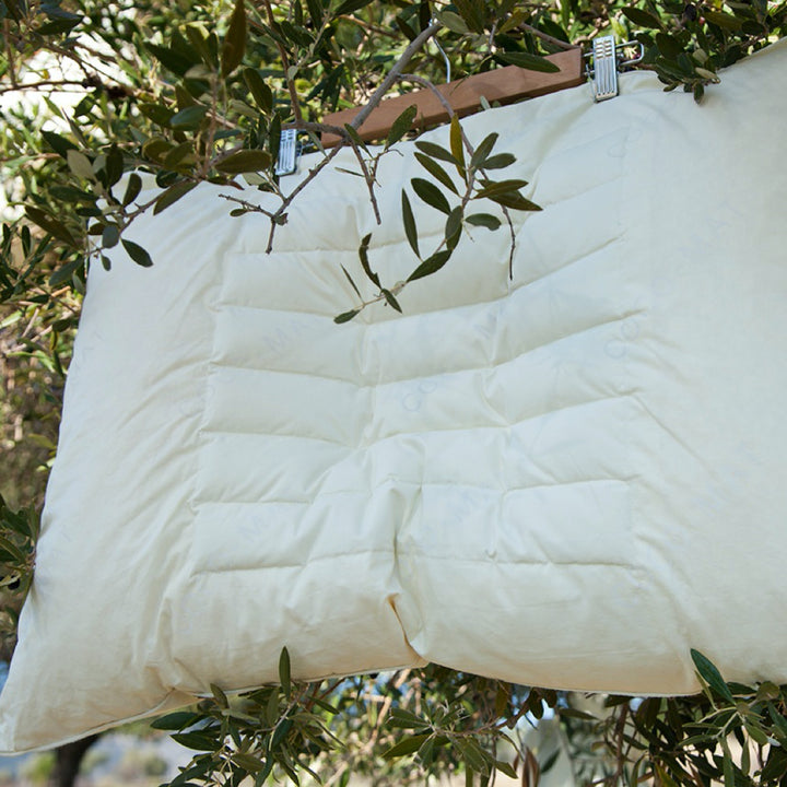 NARKISSOS II OREILLER IN NATURE