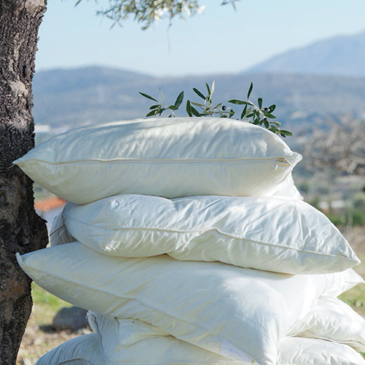 SITHON IX DANS LA NATURE