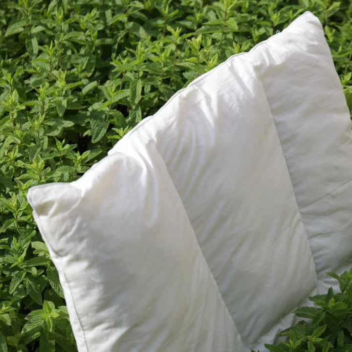 COCO-MAT SITHON III OREILLER 